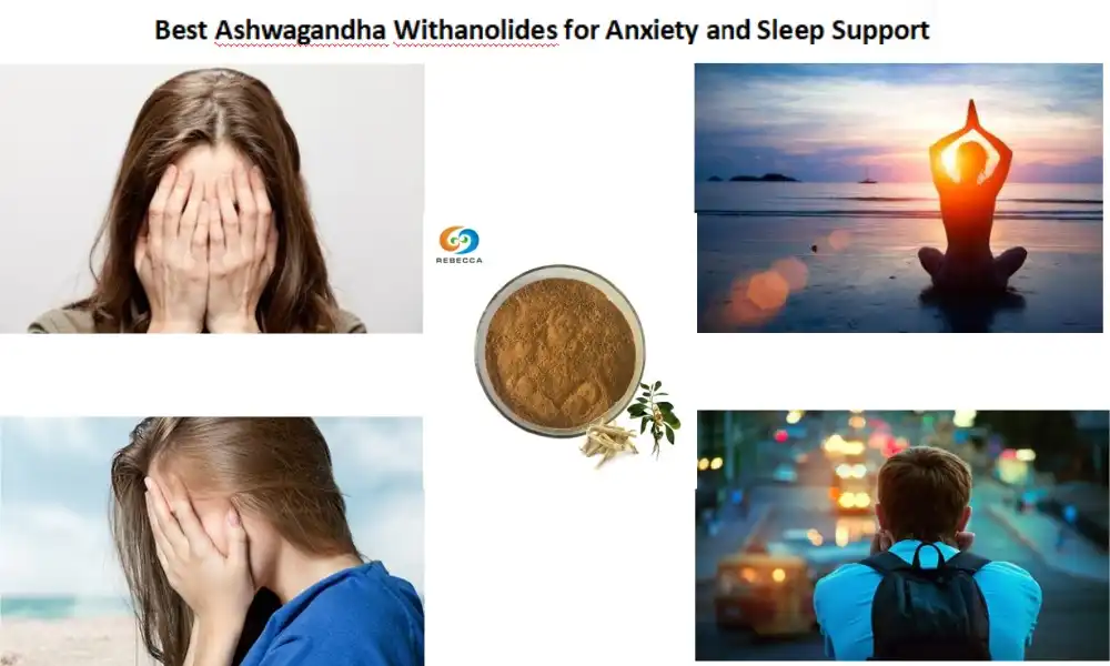 Best Ashwagandha Withanolides for Anxiety and Sleep Support